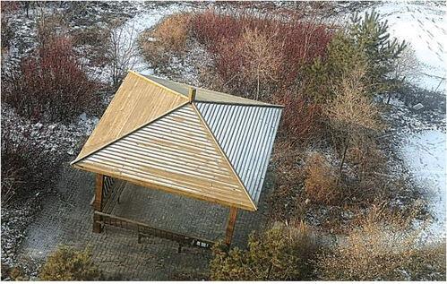 吃瓜凉亭朋友圈,朋友圈里的夏日清凉时光