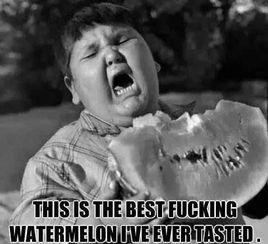 正经人中立吃瓜,正经人中立吃瓜，带你领略明星幕后故事