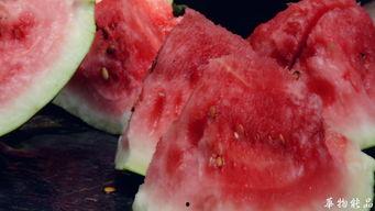 喝茶吃瓜打牌,休闲时光乐无边