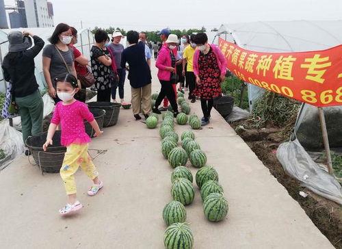 课堂上比赛吃瓜,课堂上的吃瓜盛宴