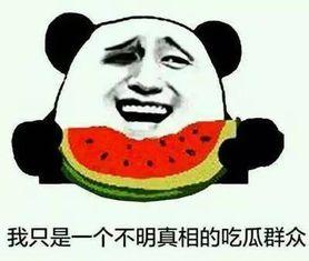 吃瓜看事情经过,吃瓜群众视角下的事件全解析