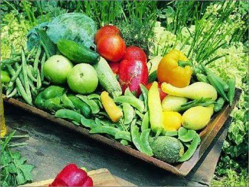 90页ppt吃瓜,吃瓜背后的真相与内幕