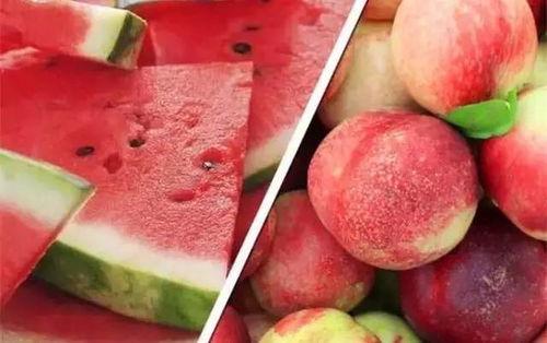 吃瓜罗伯特桃黑黑,罗伯特桃黑黑事件背后的真相揭秘